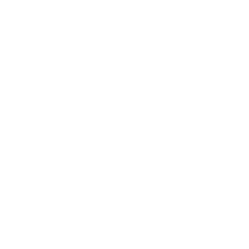 logo_projekt_white