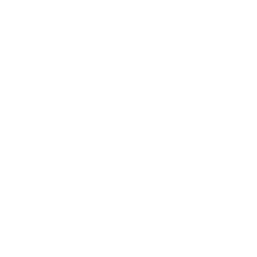 logo_CI_white